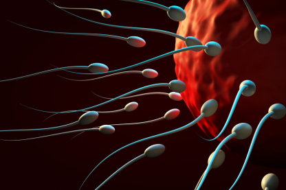 Infertility