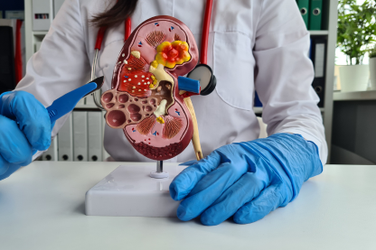 Nephrology