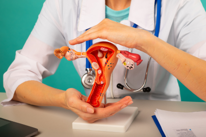 Obstetrics and Gynecologist